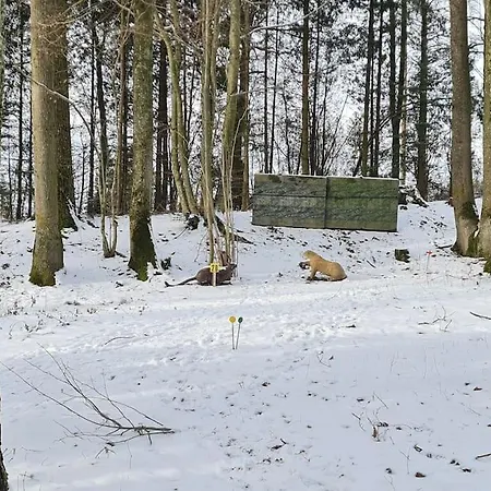 Historischer Gutshof, Bogensportzentrum Kremstal *