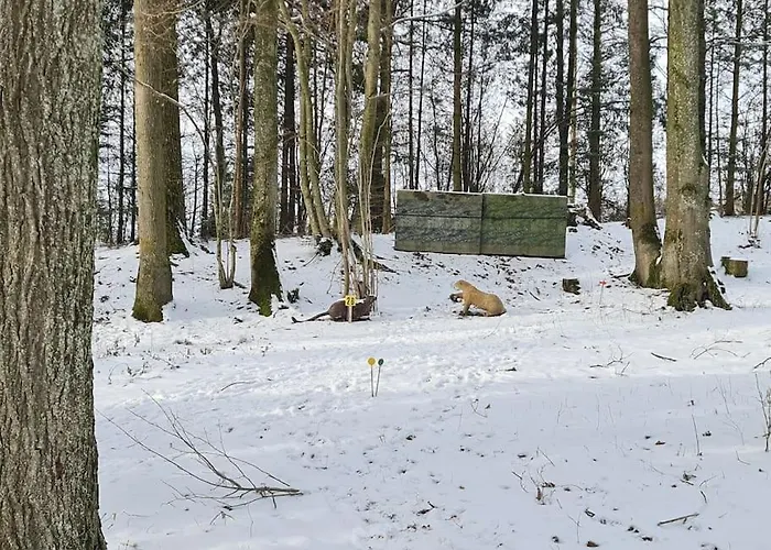 Historischer Gutshof, Bogensportzentrum Kremstal *