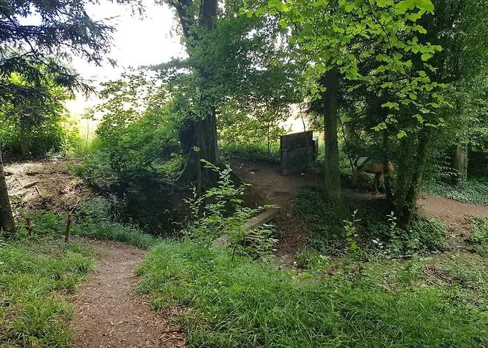 Historischer Gutshof, Bogensportzentrum Kremstal