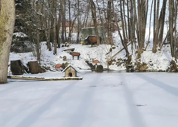 Daire Historischer Gutshof, Bogensportzentrum Kremstal Nussbach